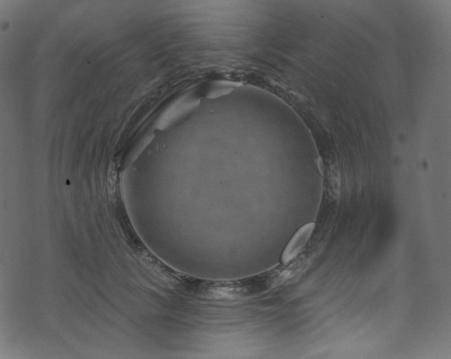 X0000074340657200608251352