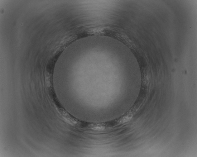 X0000074340658200608251352