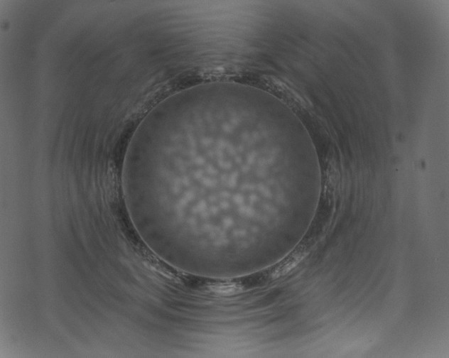 X0000074340659200608251352