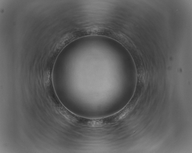 X0000074340660200608251352