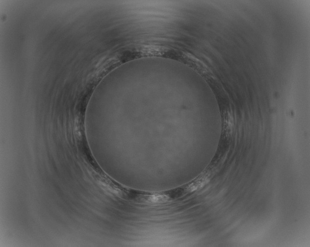 X0000074340663200608251352