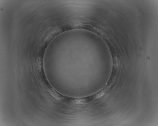 X0000074340664200608251352