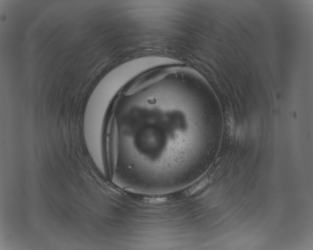 X0000074340665200608251352