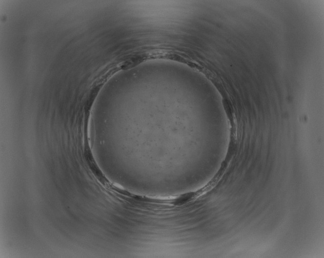 X0000074340666200608251352