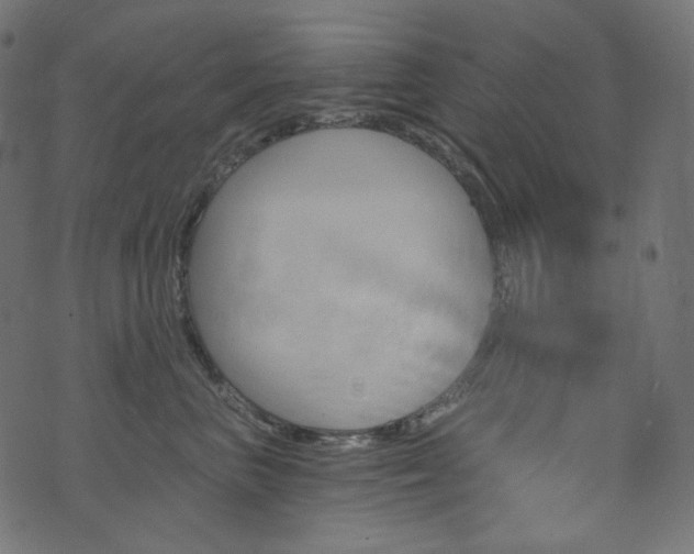 X0000074340667200608251352