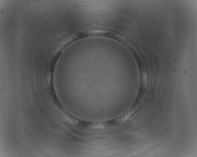 X0000074340668200608251352