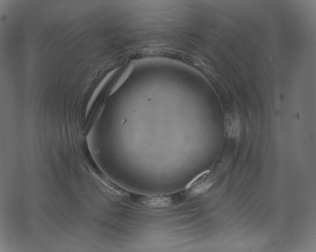 X0000074340670200608251352