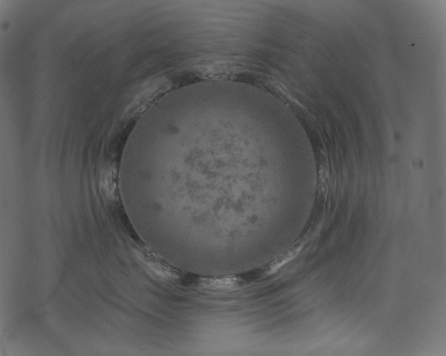 X0000074340671200608251352