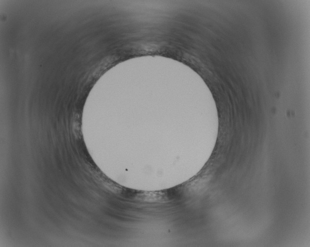 X0000074340672200608251352