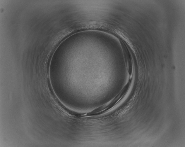 X0000074340673200608251351