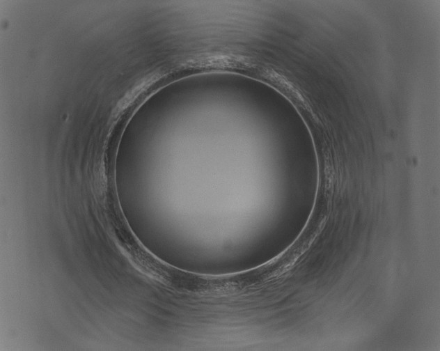 X0000074340674200608251351