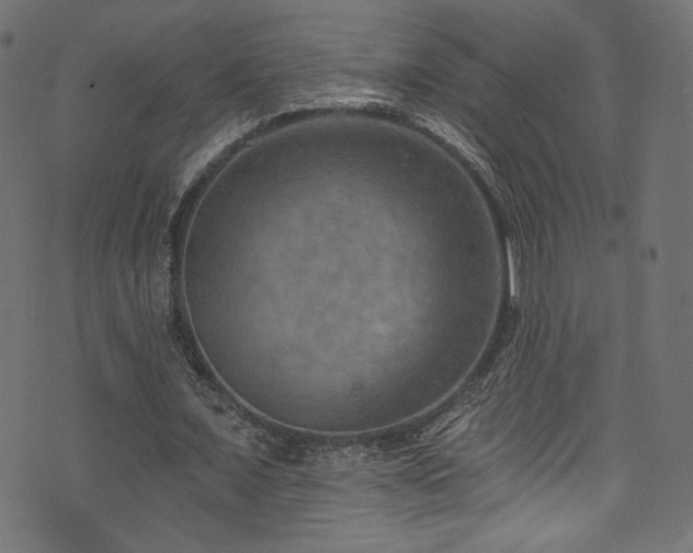 X0000074340675200608251351