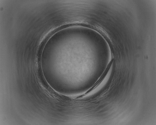 X0000074340676200608251351