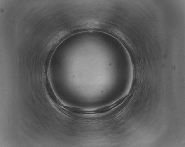 X0000074340677200608251351