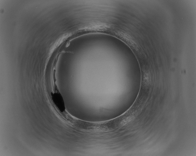 X0000074340678200608251351