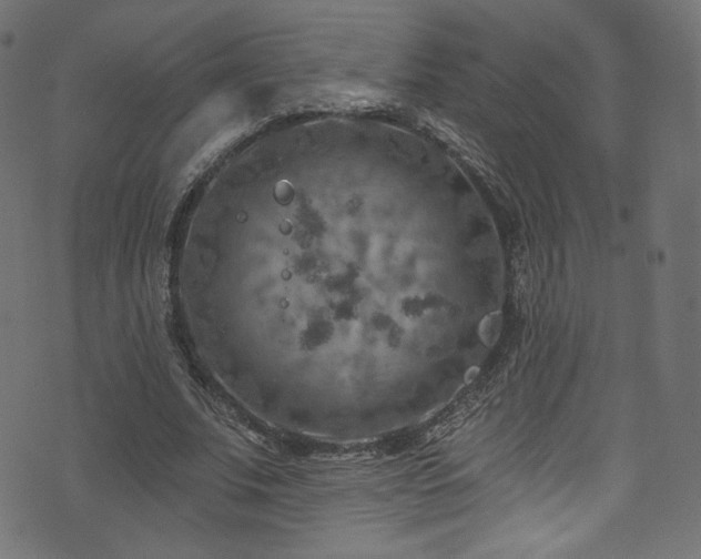 X0000074340679200608251351