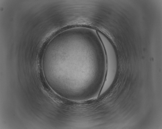 X0000074340680200608251351