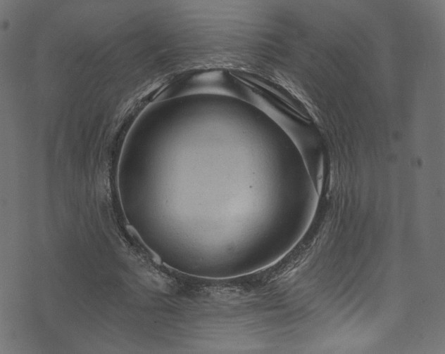 X0000074340681200608251351