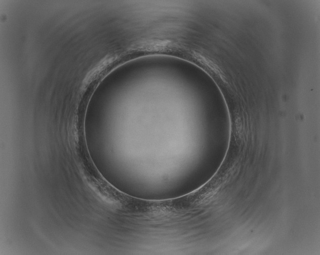 X0000074340682200608251351