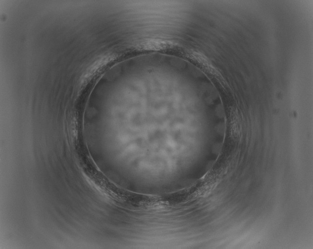 X0000074340683200608251351