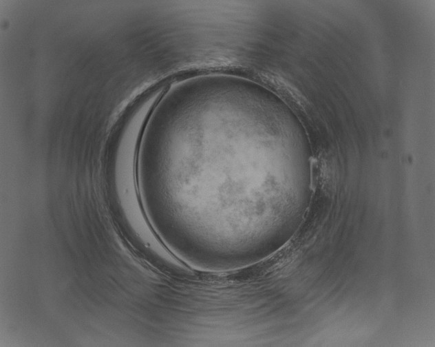 X0000074340684200608251351