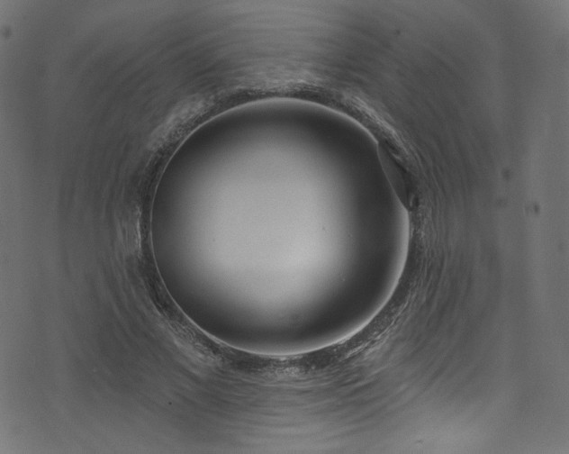 X0000074340685200608251351