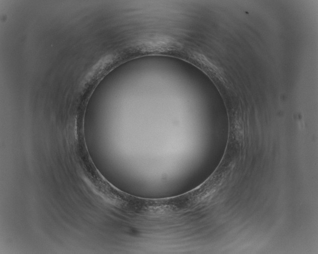 X0000074340686200608251351