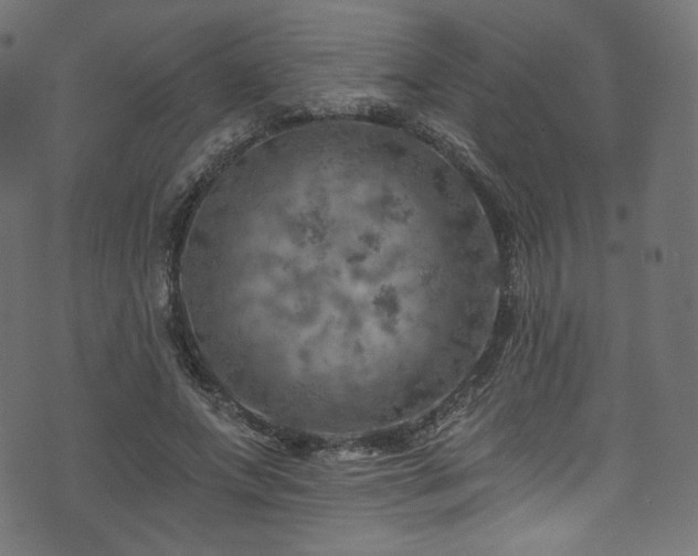 X0000074340687200608251351