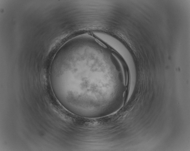 X0000074340688200608251351