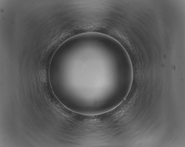 X0000074340689200608251351