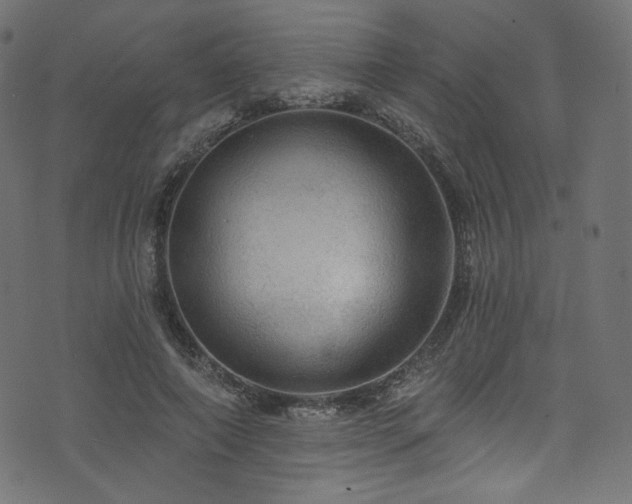 X0000074340690200608251351