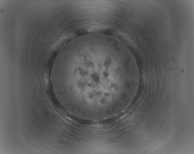 X0000074340691200608251351