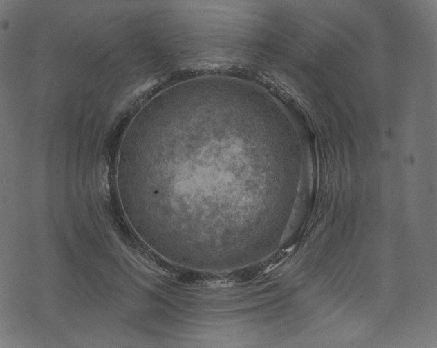 X0000074340692200608251351