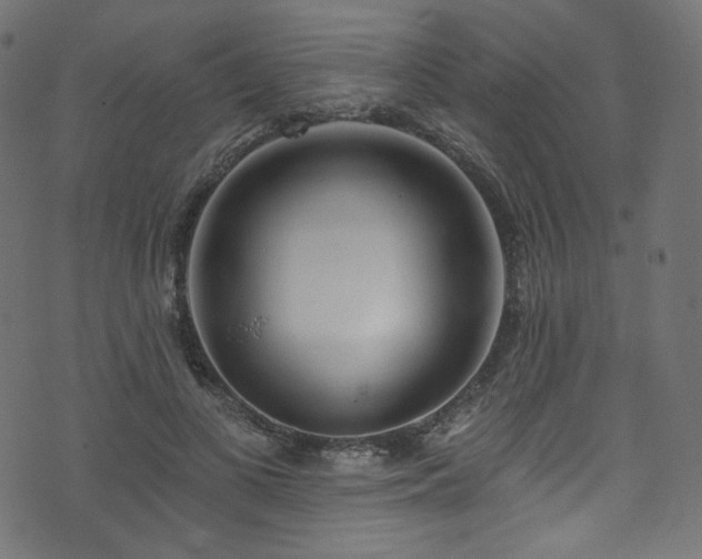 X0000074340693200608251351