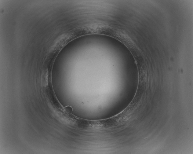 X0000074340694200608251351