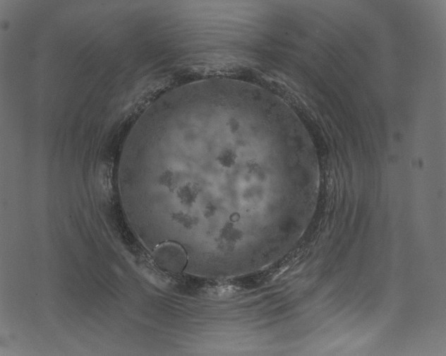 X0000074340695200608251351