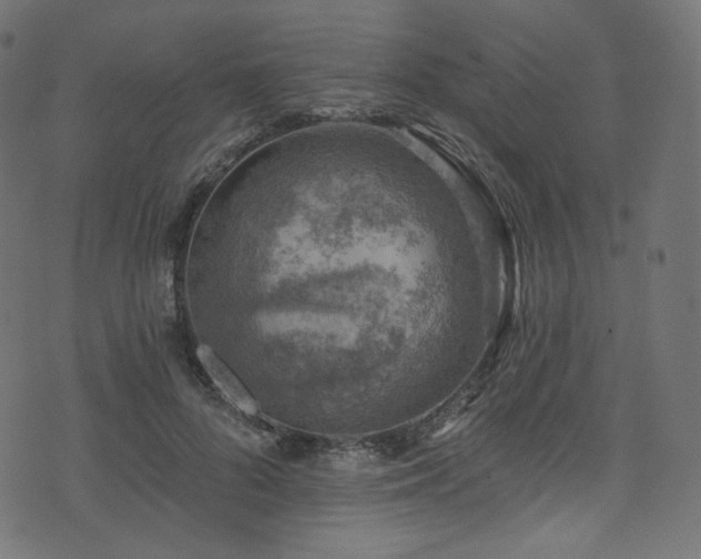 X0000074340696200608251351