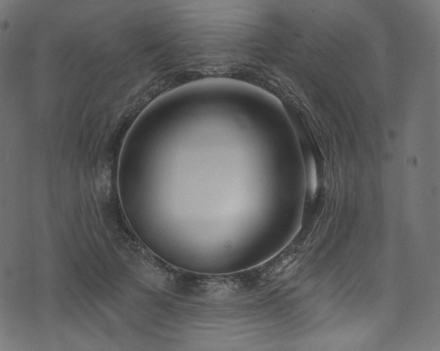 X0000074340697200608251351