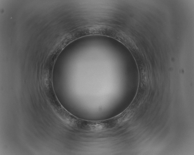 X0000074340698200608251351