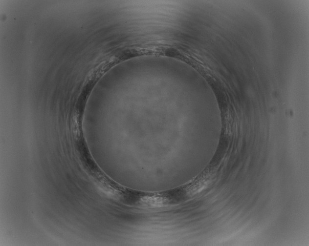 X0000074340699200608251351