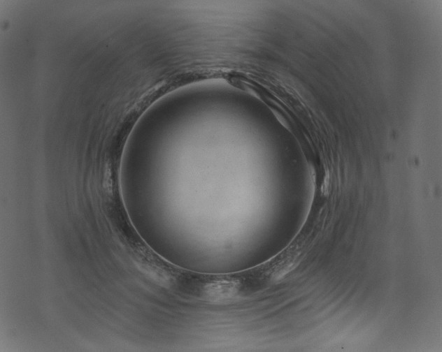 X0000074340700200608251351