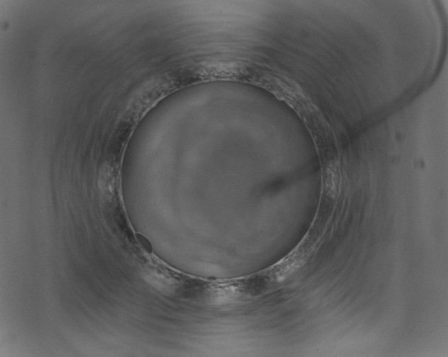 X0000074340701200608251351