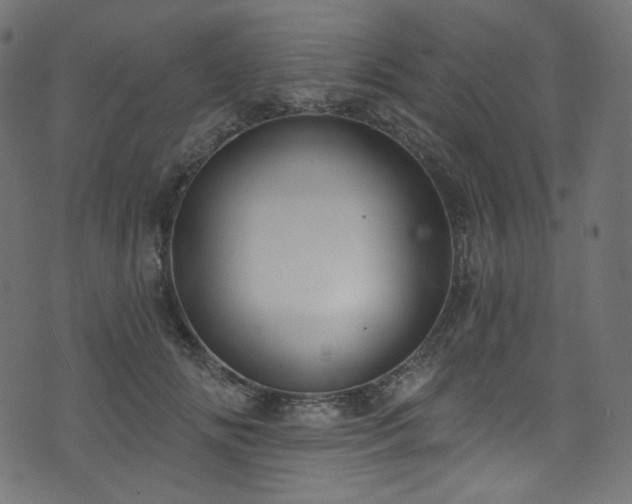 X0000074340702200608251351