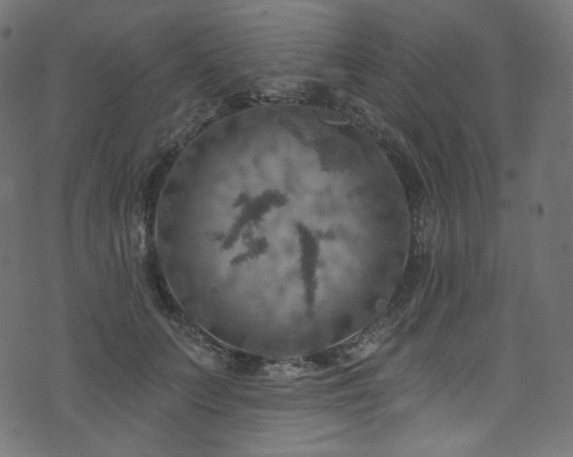 X0000074340703200608251351