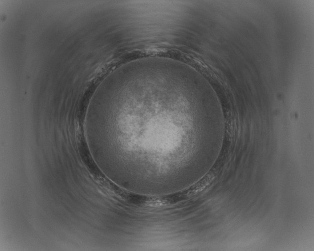 X0000074340704200608251351