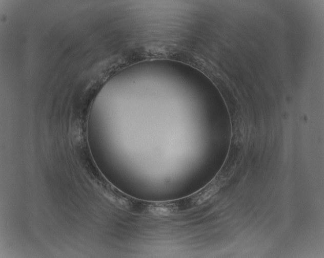 X0000074340706200608251351