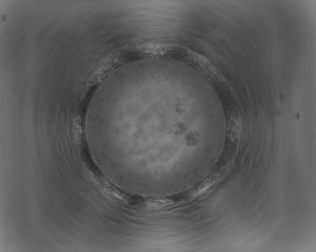 X0000074340707200608251351