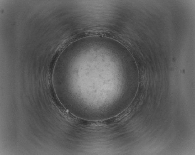 X0000074340708200608251351