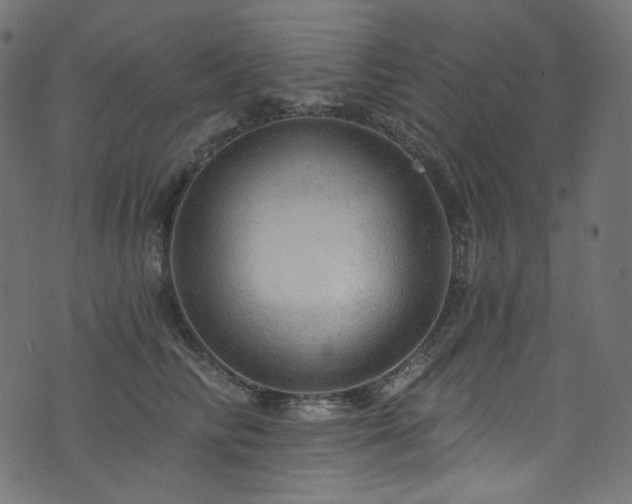 X0000074340710200608251351