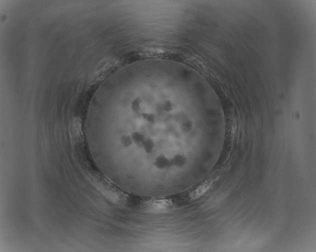 X0000074340711200608251351